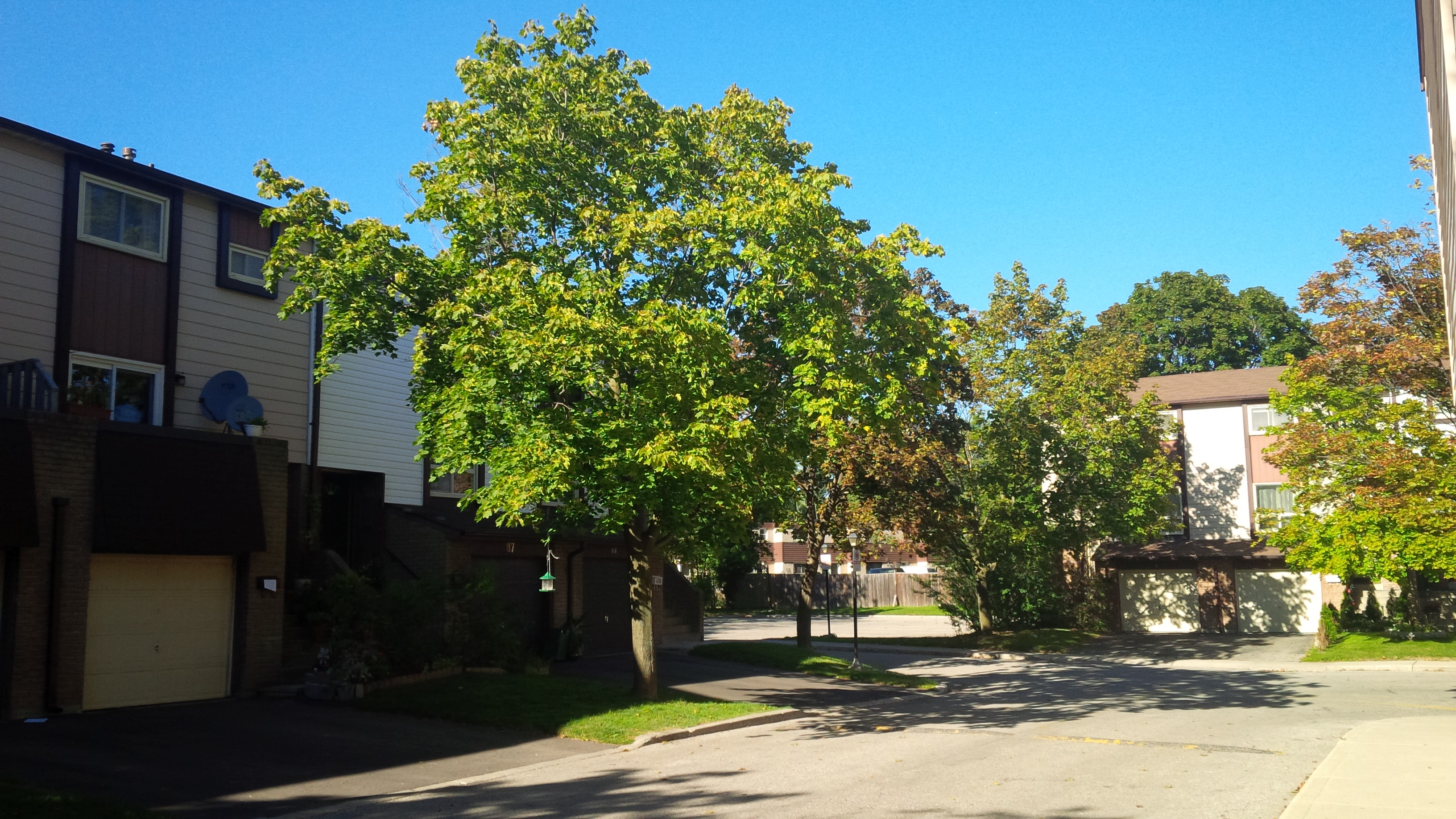 Dundix Grounds 