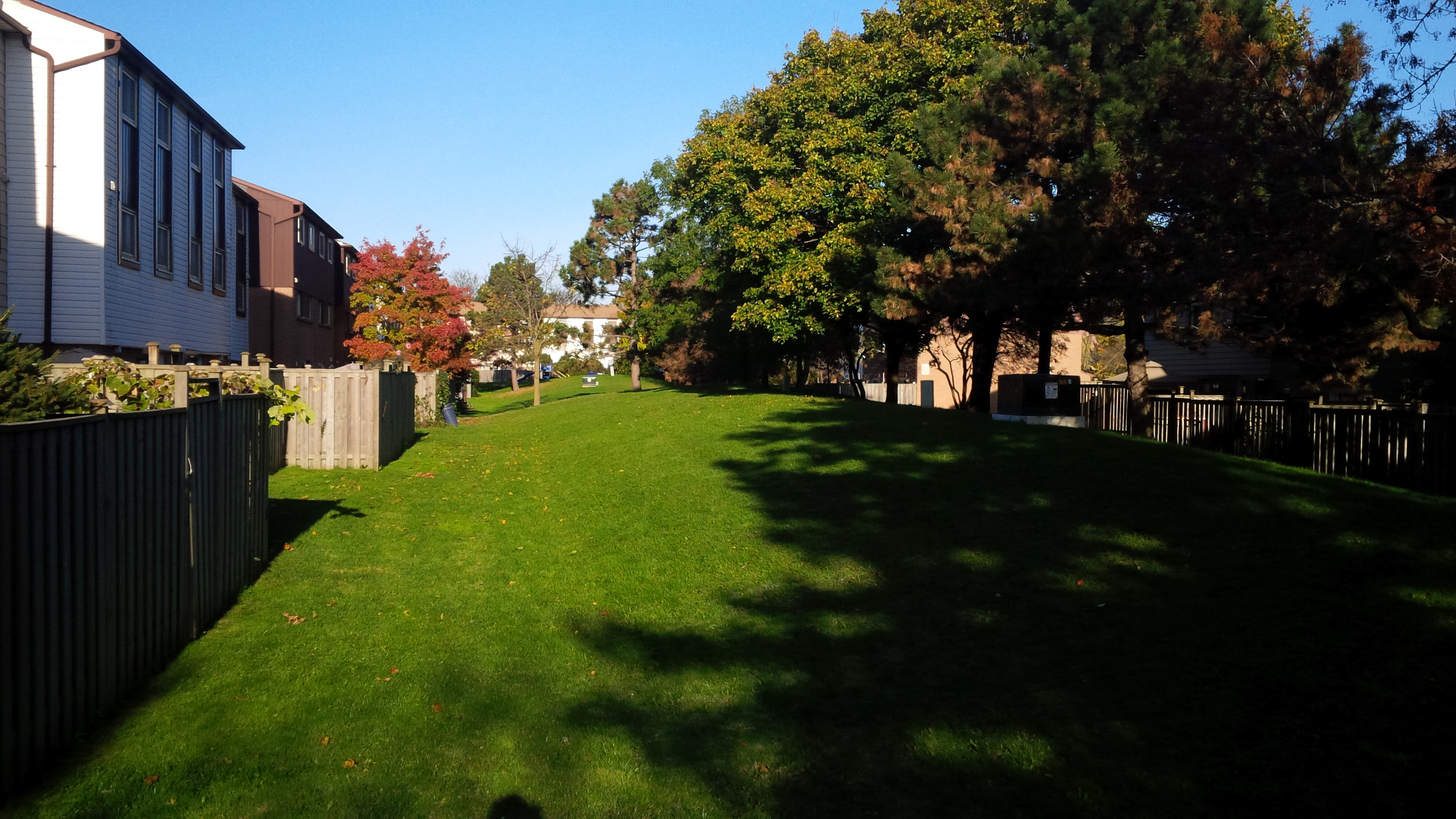 Center Lawns 